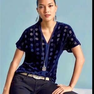 CAbi Navy Velvet Polka Dot V-Neck Short Sleeve Top